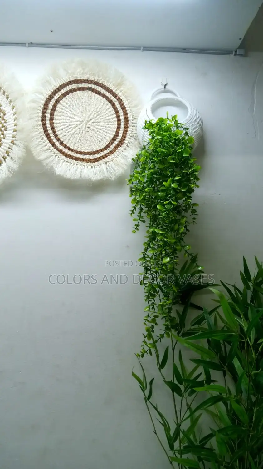 Vines and Vase Offer Price KSH 2000