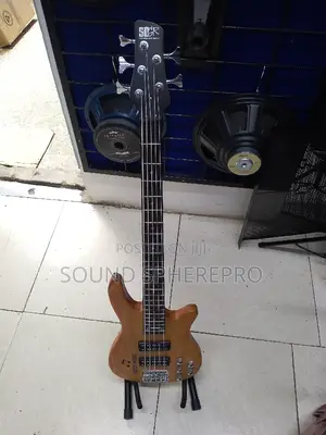 SDGR Ibanez 5 String Passivebass Guitar