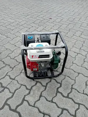 Windsor High Quality High Pressure Water Pump