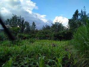 Residential Eighth Acre Plot in Ongata Rongai at Kandisi - thumbnail 2