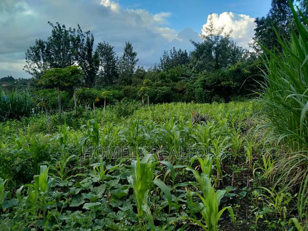 Residential Eighth Acre Plot in Ongata Rongai at Kandisi - thumbnail 4