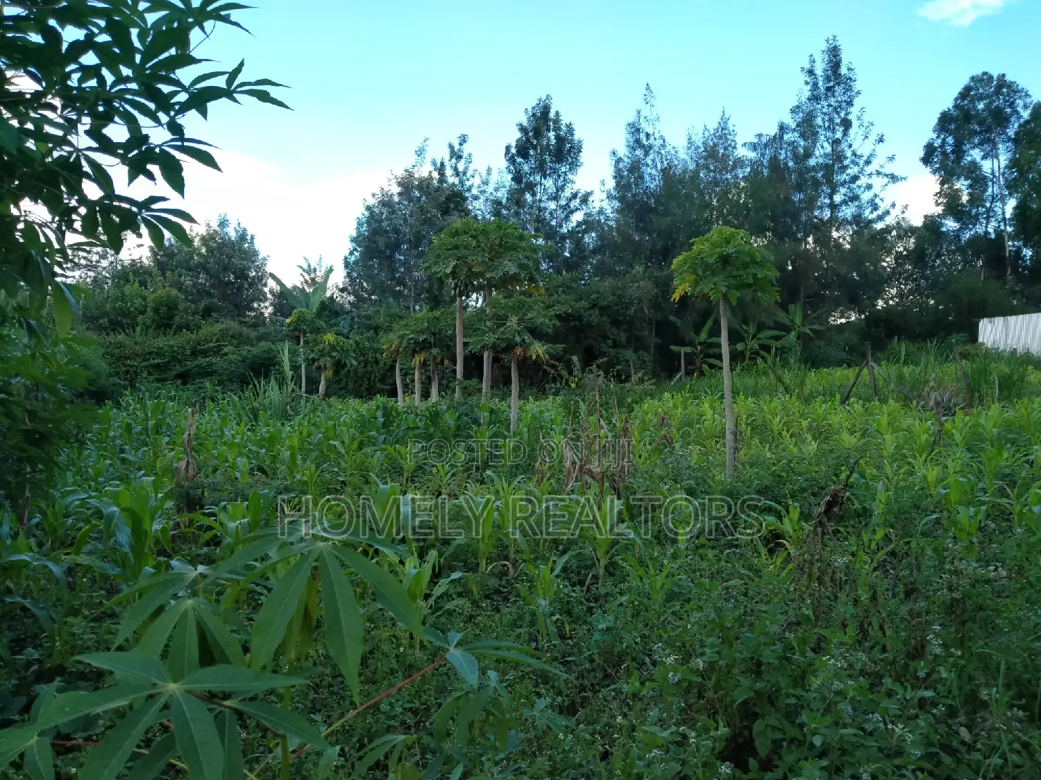 Large Quarter Acre Plot in Ongata Rongai, Kandisi