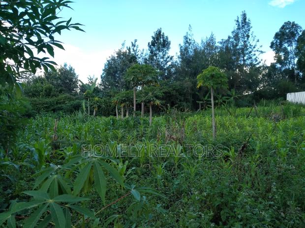Large Quarter Acre Plot in Ongata Rongai, Kandisi - thumbnail 3