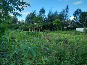 Large Quarter Acre Plot in Ongata Rongai, Kandisi