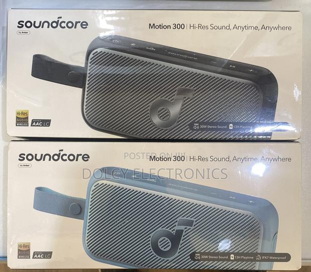 Anker Soundcore Motion 300 Bluetooth Speaker - main view