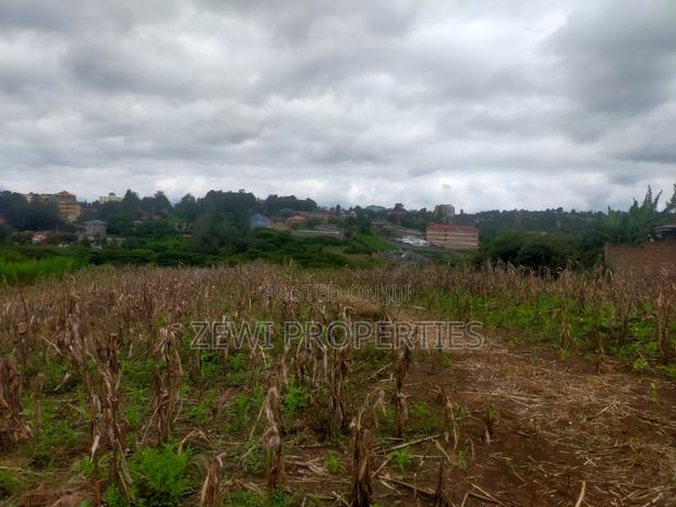 1/4 Acre Matasia - thumbnail 6