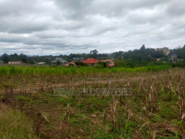 1/4 Acre Matasia - thumbnail 7