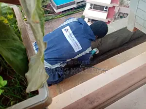 App Membrane Repairs