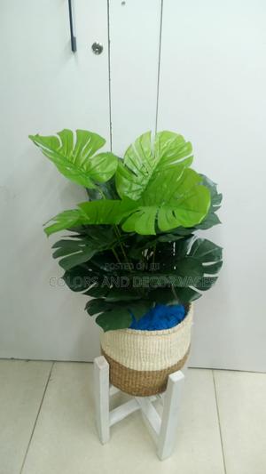 Basket, Monstera and Stones - thumbnail 2