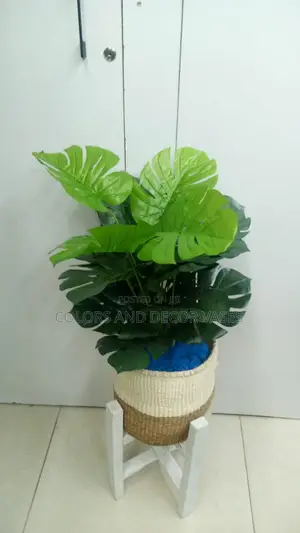 Basket, Monstera and Stones