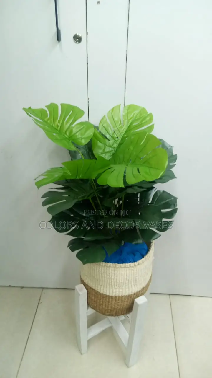 Basket, Monstera and Stones
