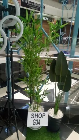 Bamboo Sticks With Plastic Vase and Stones