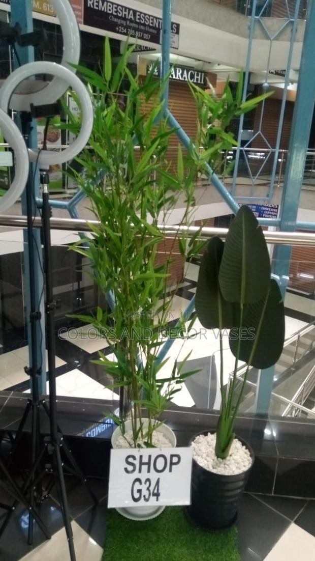 Bamboo Sticks With Plastic Vase and Stones