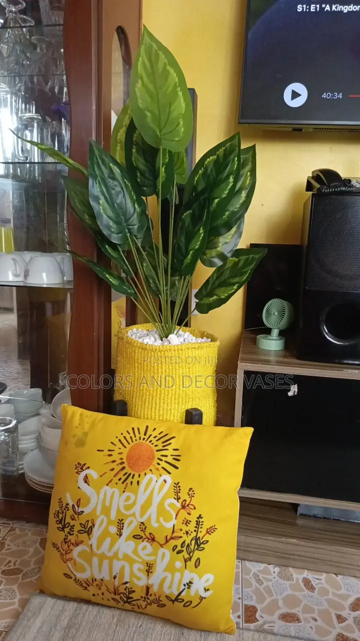 Basket,Plant and Stand Plus Pebbles