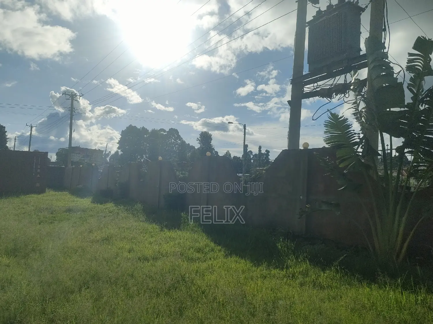 Karatina Jambo 1\2 Acre Main Tarmac