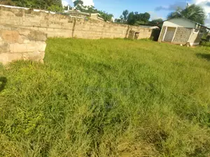 Karatina Jambo 1\2 Acre Main Tarmac