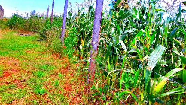 Plots for Sale in Kikuyu Kanduma Area