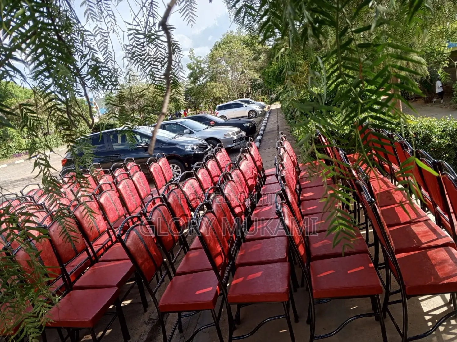 Bar Chairs