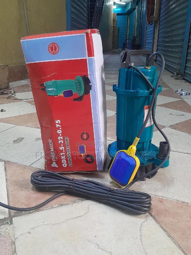 Premier Submersible Water Pump 1 HP 32M