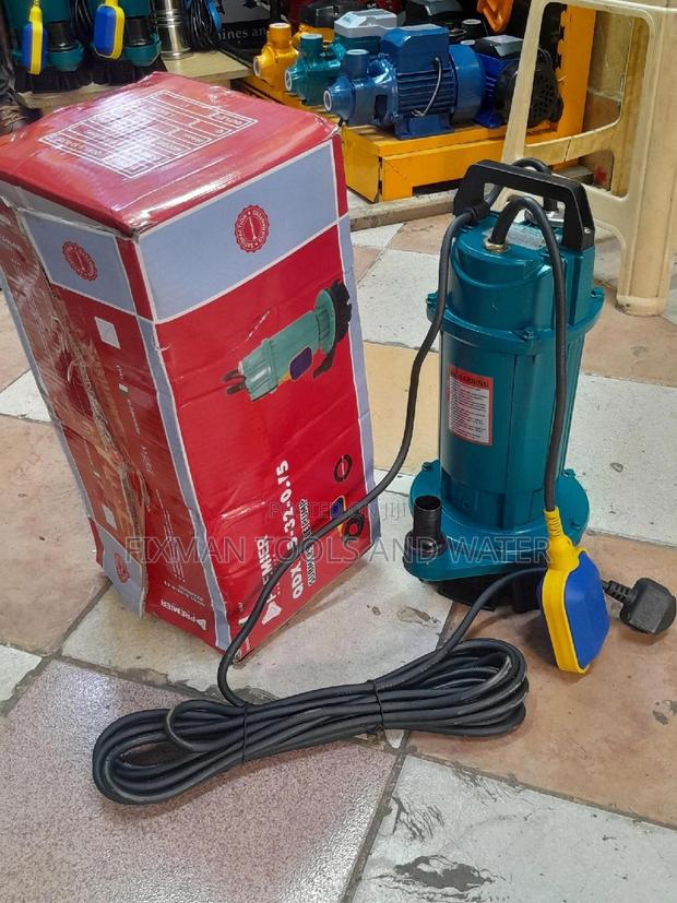 Premier 1 HP Submersible Water Pump 32M Head