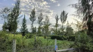 Your Dream Plot at Mang'u-Nakuru Next to Gicheha Farm