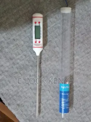 Digital Concrete Thermometer