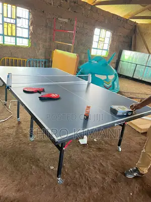 Best Superior Quality Table Tennis