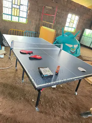 High Standard Super Quality Table Tennis