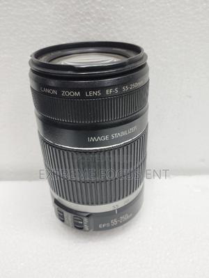Canon 55-250mm Zoom Lens.