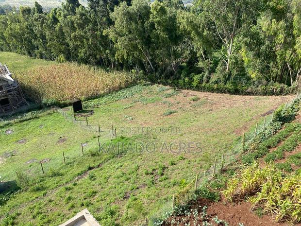 1/8 Acre Lemiso Road at 3.5m - thumbnail 5