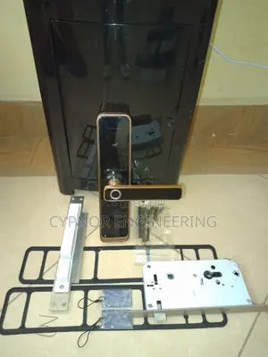 Airbnb Lock Biometric Remote Operation Security