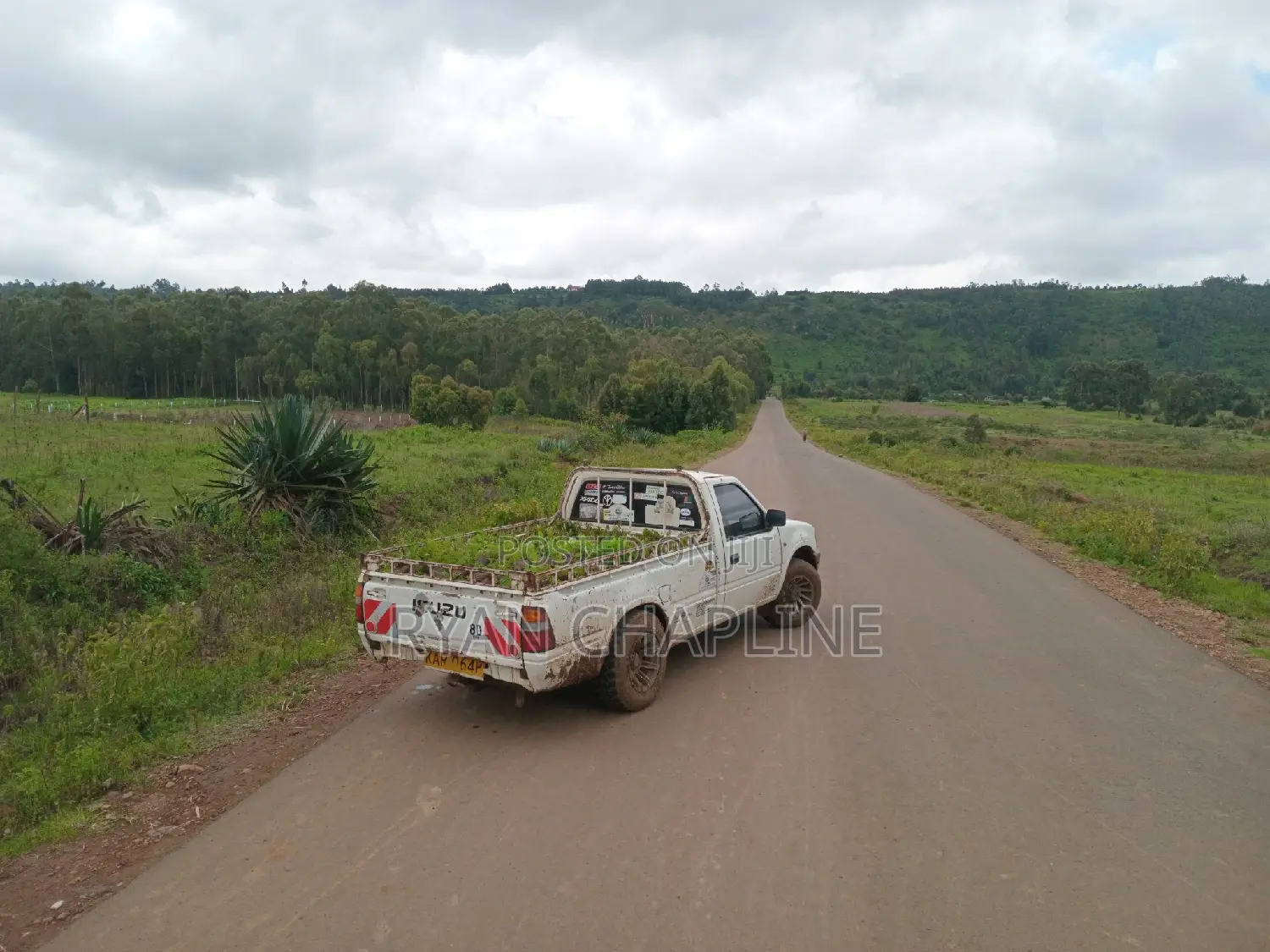 Transport Services