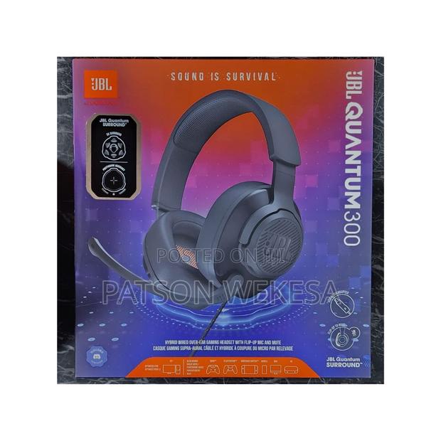 JBL Quantum 300 Headphones