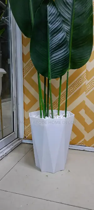 Banana Plant With Vase