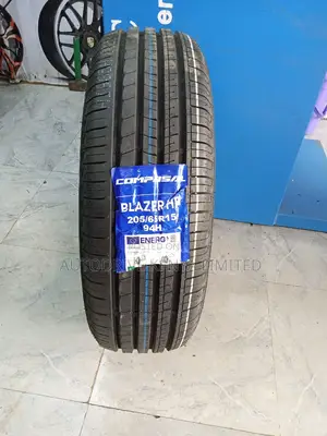 205/65r15 Compasal Tyre