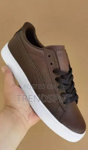 Puma Mens Sneakers Brown in Color38-45