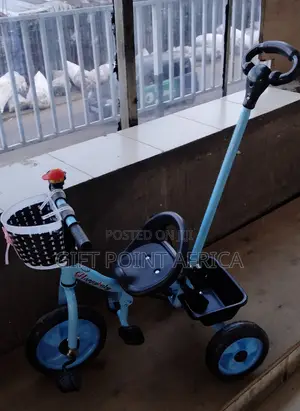 Kids Push Handle Tricycle