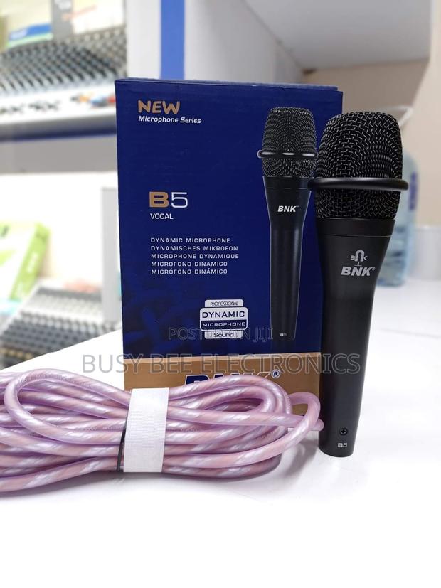 B5 Vocal BNK Microphone - main view