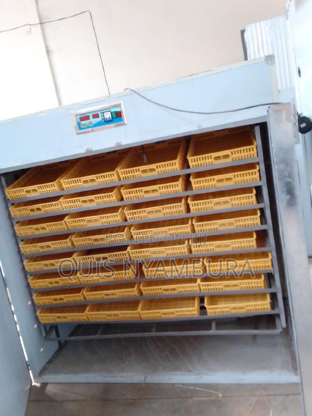 3168 Eggs Automatic, Automatic Incubator - main view