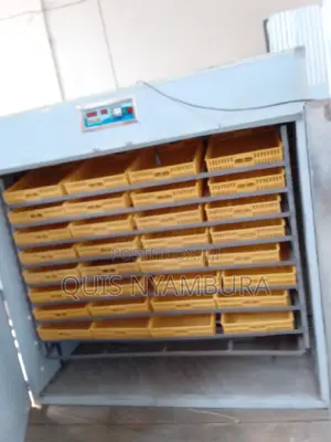 3168 Eggs Automatic, Automatic Incubator.