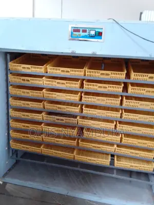 Incubator 3168 Automatic Incubator