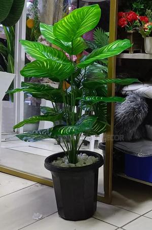 Artificial Green Plant In A Black Pot - main view