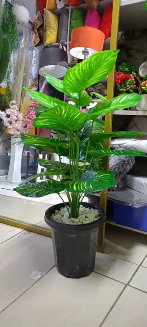 Artificial Green Plant In A Black Pot