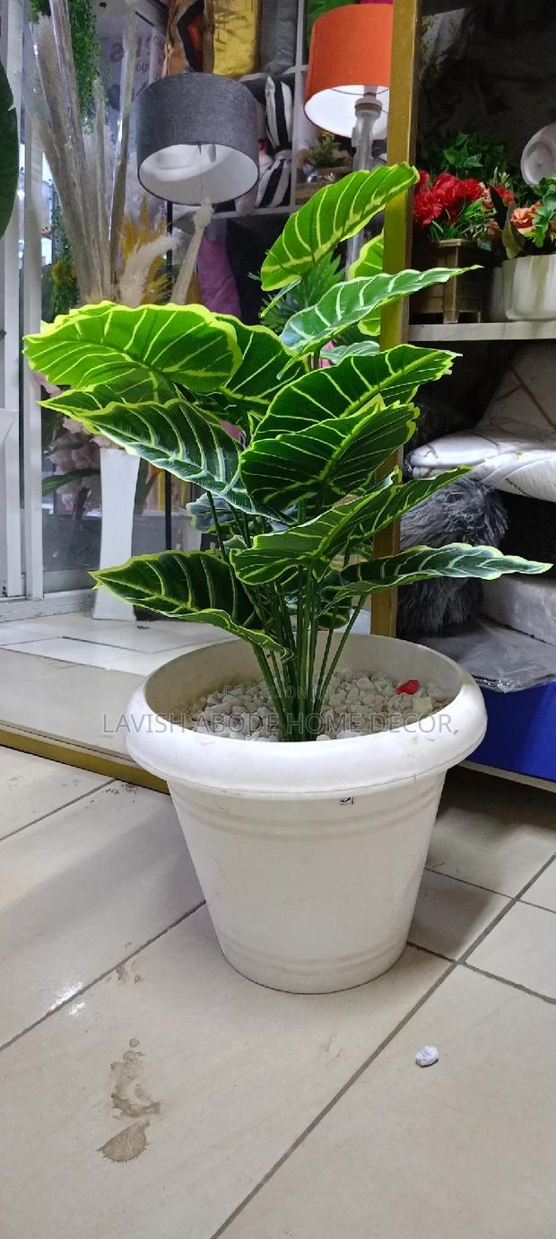 Artificial Plants - Indoor and Outdoor Decor - thumbnail 2