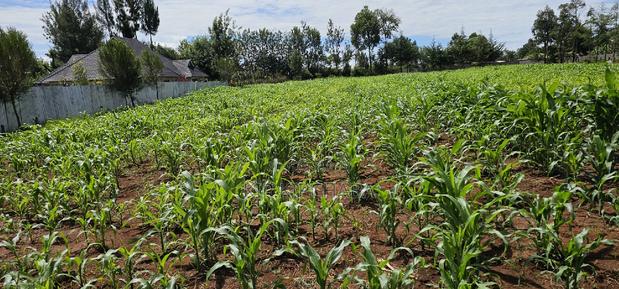Prime 1⁄2 Acre for Sale in Kiplombe Eldoret