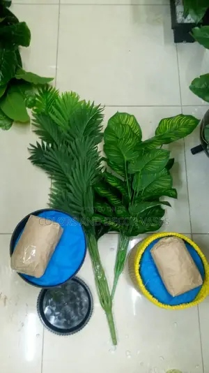Plants With Plastic Vase or Basket