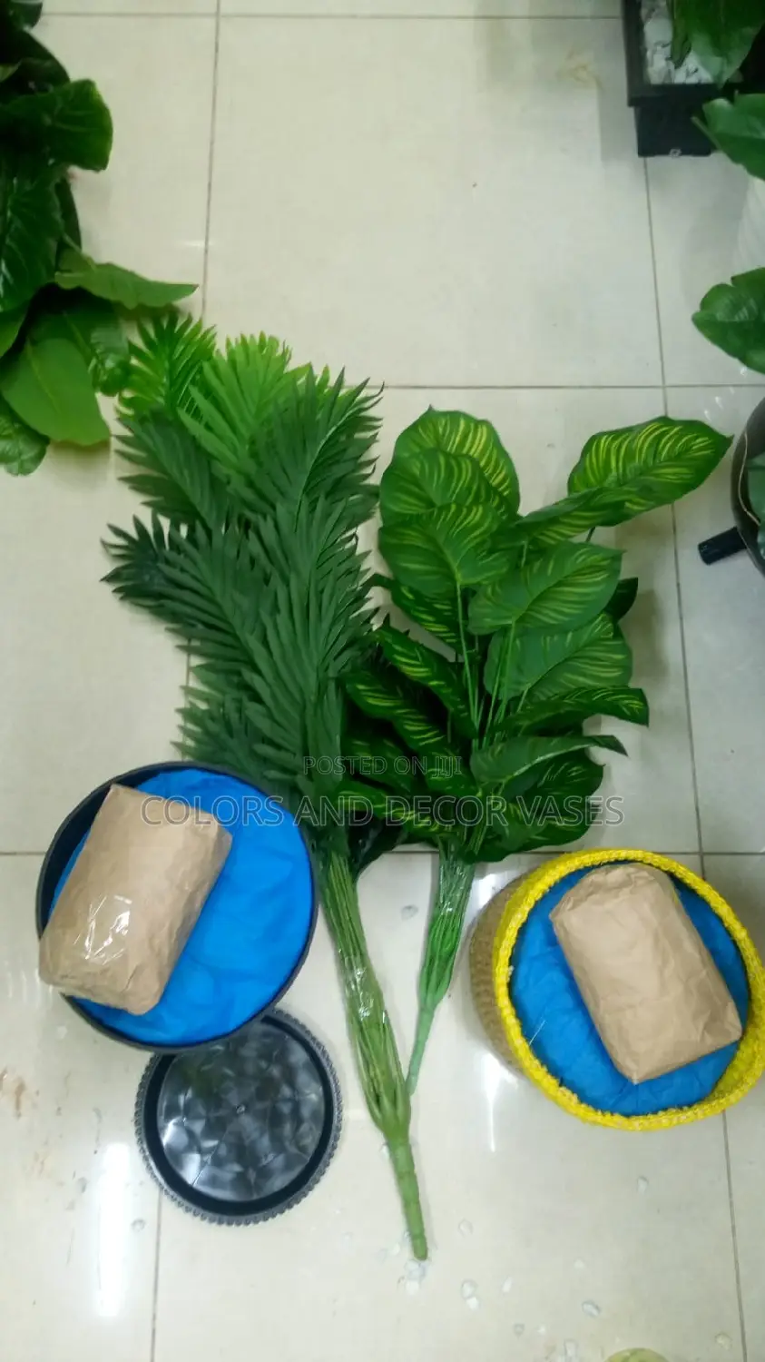 Plants With Plastic Vase or Basket