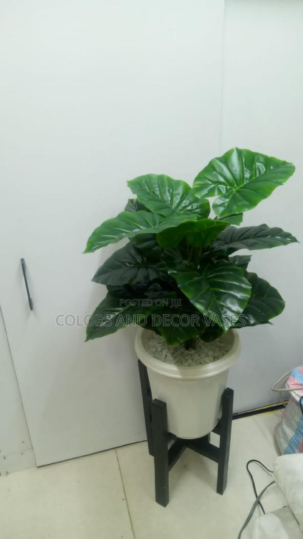 Green Plant, Plastic Vase and Pebble Stones - main view
