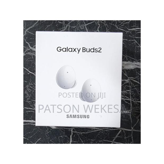 Samsung Galaxy Buds 2 - main view