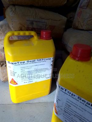 Top Seal 107. Liquid+ Powder - thumbnail 2